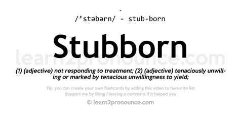 stubborness deutsch|stubbornness definition.